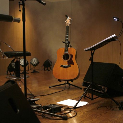 Acoustic Guitar (Compact Full-Size Model)