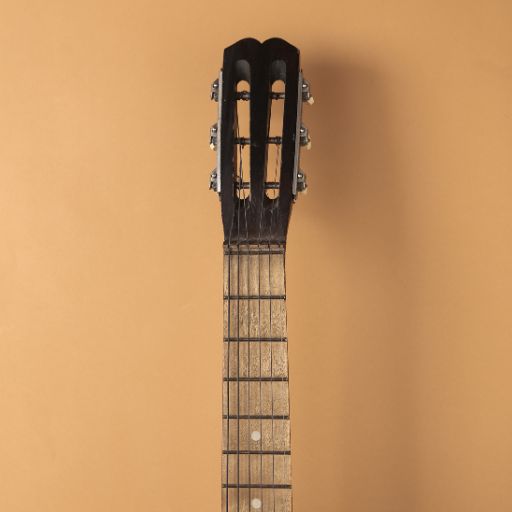 Acoustic Guitar Neck