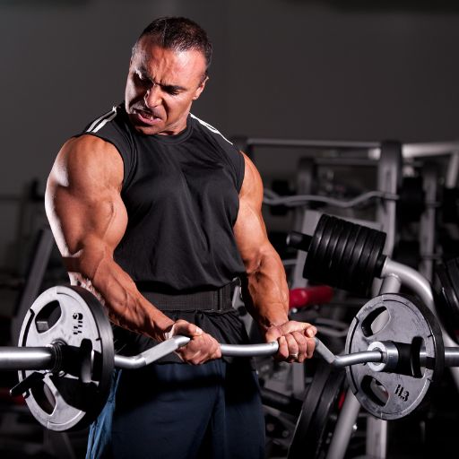 Barbell Curl Bar (Standard Gym Size)