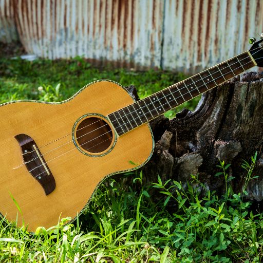Baritone Ukulele (32 Inches Long)