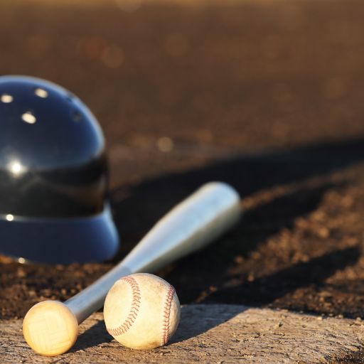 Baseball Bat (Adult Size)