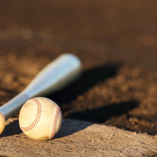 Baseball Bat (Senior Youth or Small Adult)