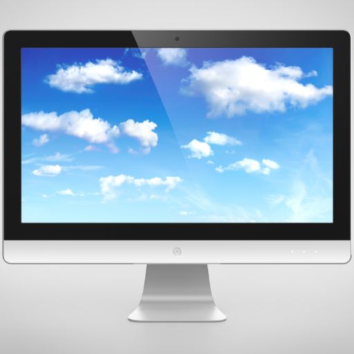 Computer Monitor (Widescreen)