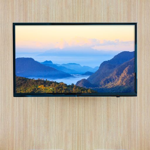 Computer Monitor or TV Screen