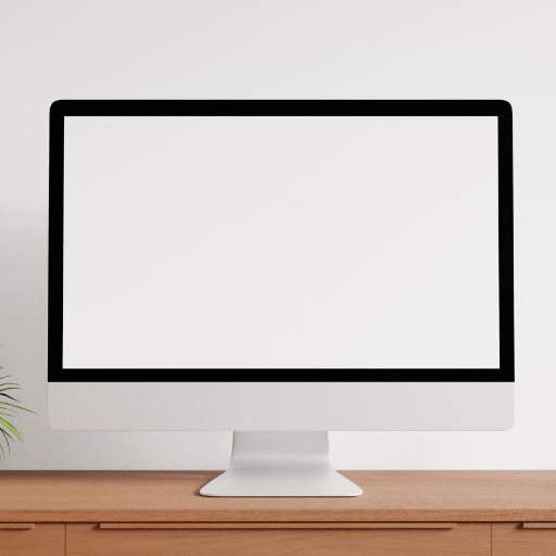 Computer Monitor or TV Screen