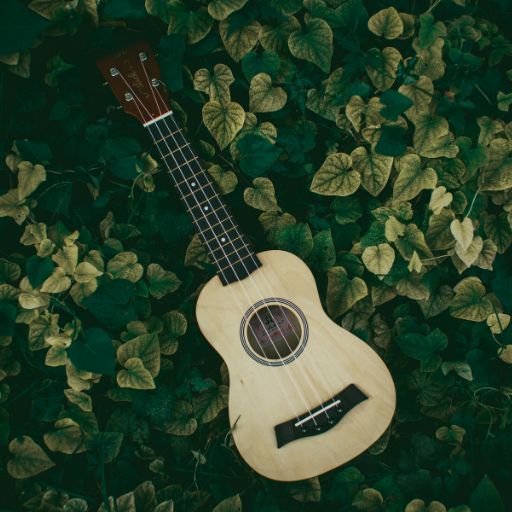 Concert Ukulele (31 Inches Long)