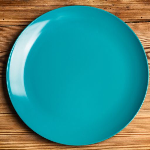 Dinner Plate Diameter