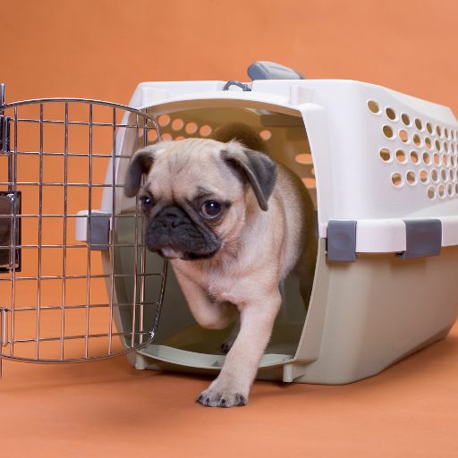 Dog Crate (For Large Dogs)