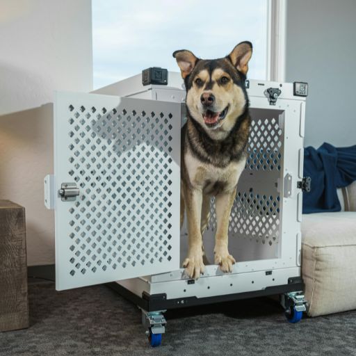 Dog Crate (Large Breed Size)