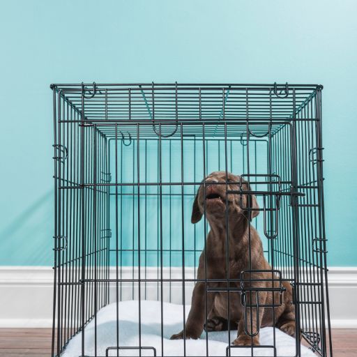 Dog Crate (Large Dog Model)