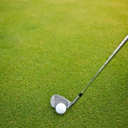 Golf Pitching Wedge (Standard Length)