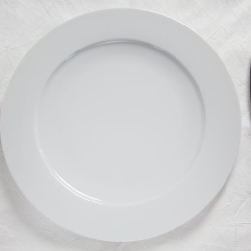 Large Dinner Plate