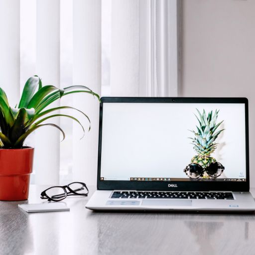Large Laptop Screen
