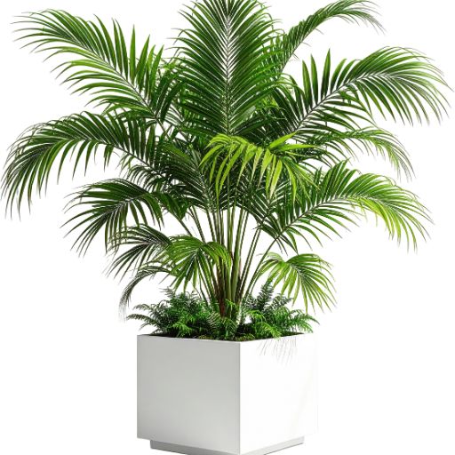 Plant Pot or Indoor Planter