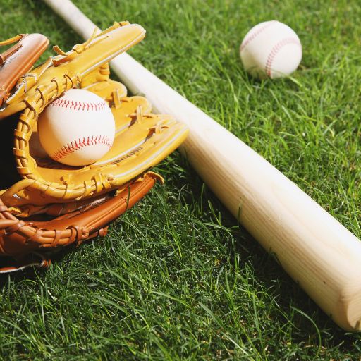 Standard Baseball Bat (Adult Size)