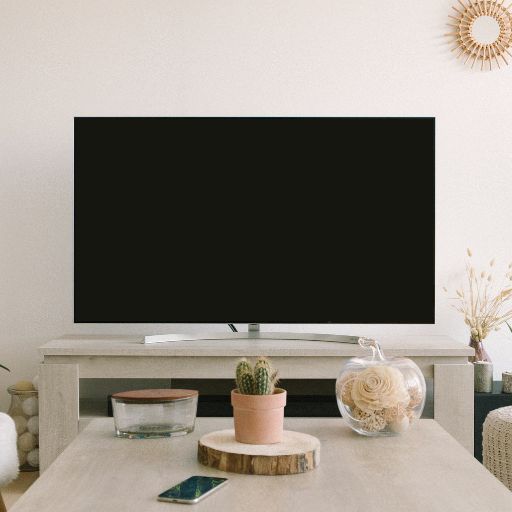 TV (40-Inch Screen)