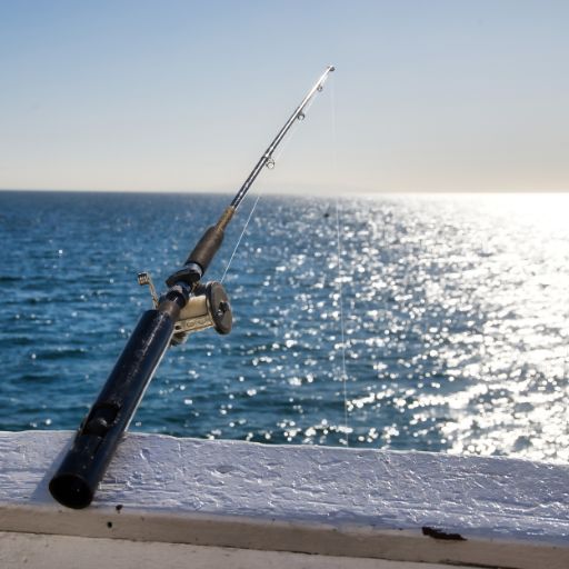 Telescopic Fishing Rod (Travel Model)