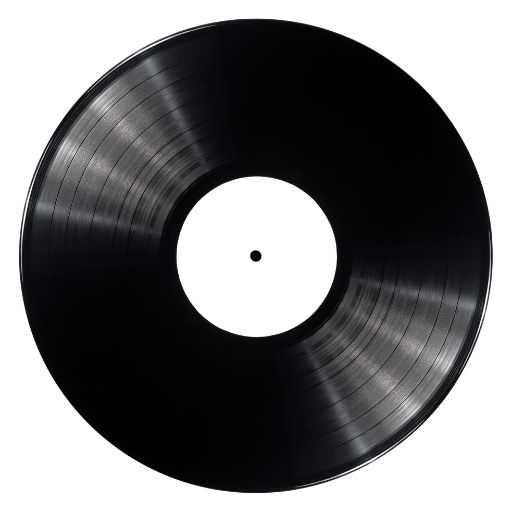 Vinyl Record Sleeve (Collector Size)