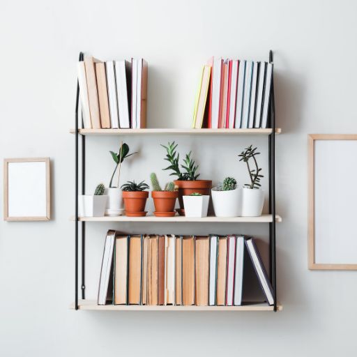Wall Shelf (Medium Decorative Size)